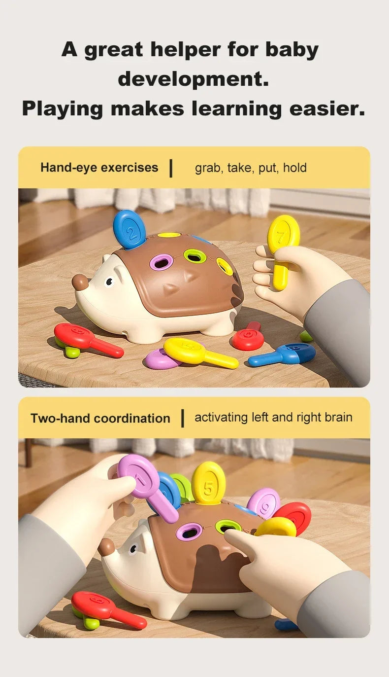 Hedgehog Montessori Educational Toy