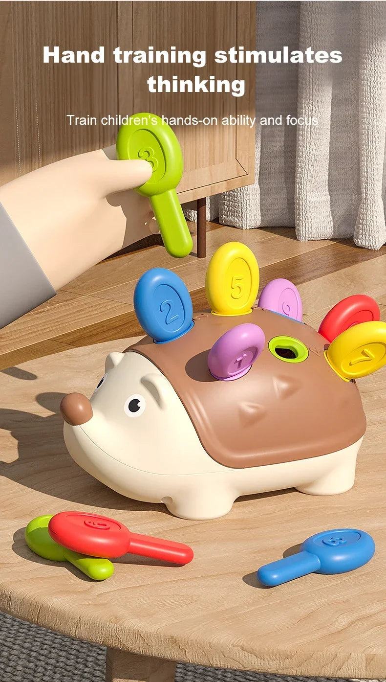 Hedgehog Montessori Educational Toy
