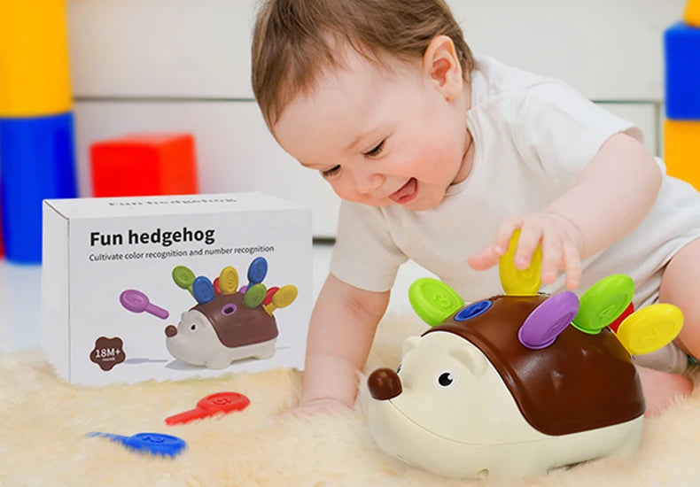 Hedgehog Montessori Educational Toy